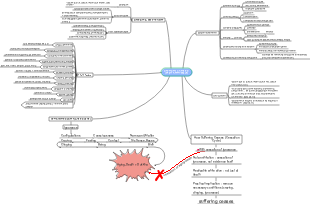 Dependent Co-arising (Paticca-samuppada) Mind Map