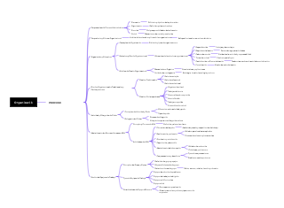 Administrative Process and Organization Mind Map
